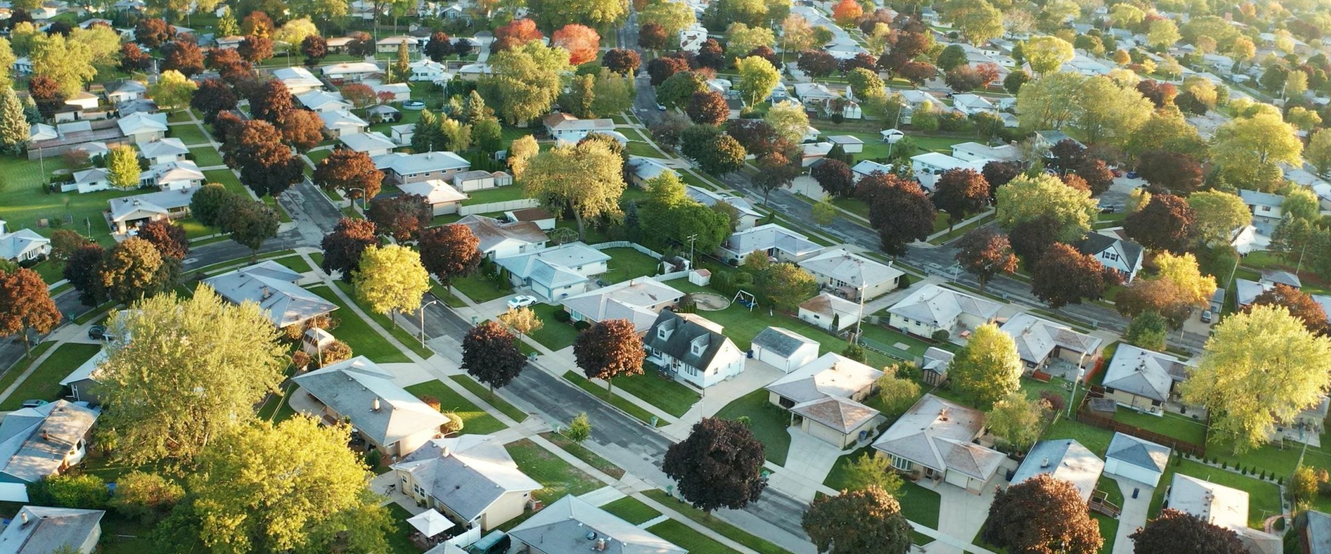The Ins and Outs of Real Estate: An Expert's Perspective