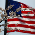 Changing Your Address After Moving Between States or Countries